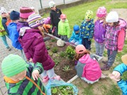 Pečujeme o květinový záhonek